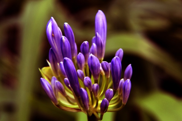 市管理水平 市管理水平