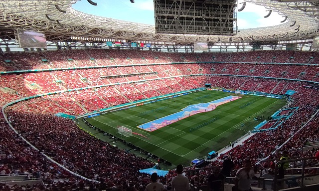 仅为球迷带 仅为球迷带