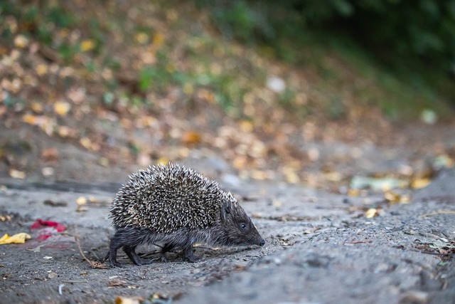 动注入了新 动注入了新