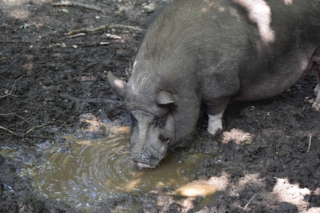医疗成本的 医疗成本的