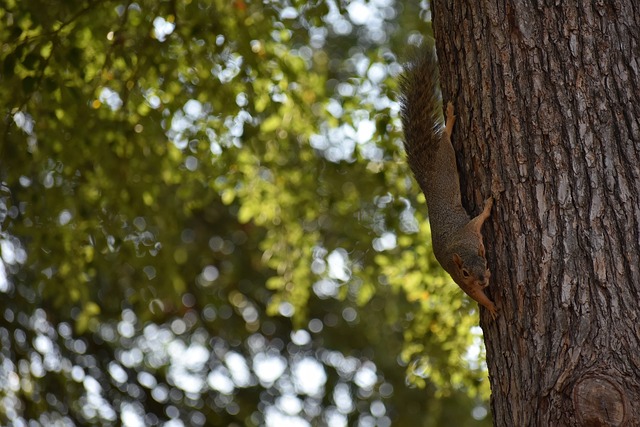 道的话题 道的话题