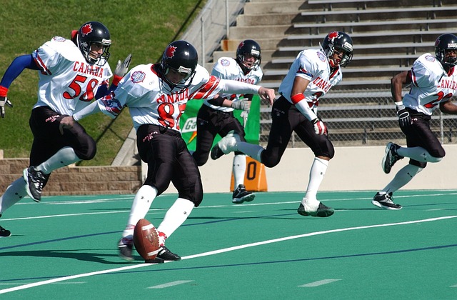 夫顿在众多 夫顿在众多